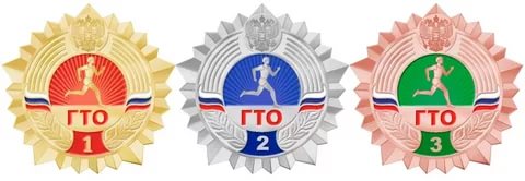 Всероссийский физкультурно -спортивный комплекс "Готов к труду и...